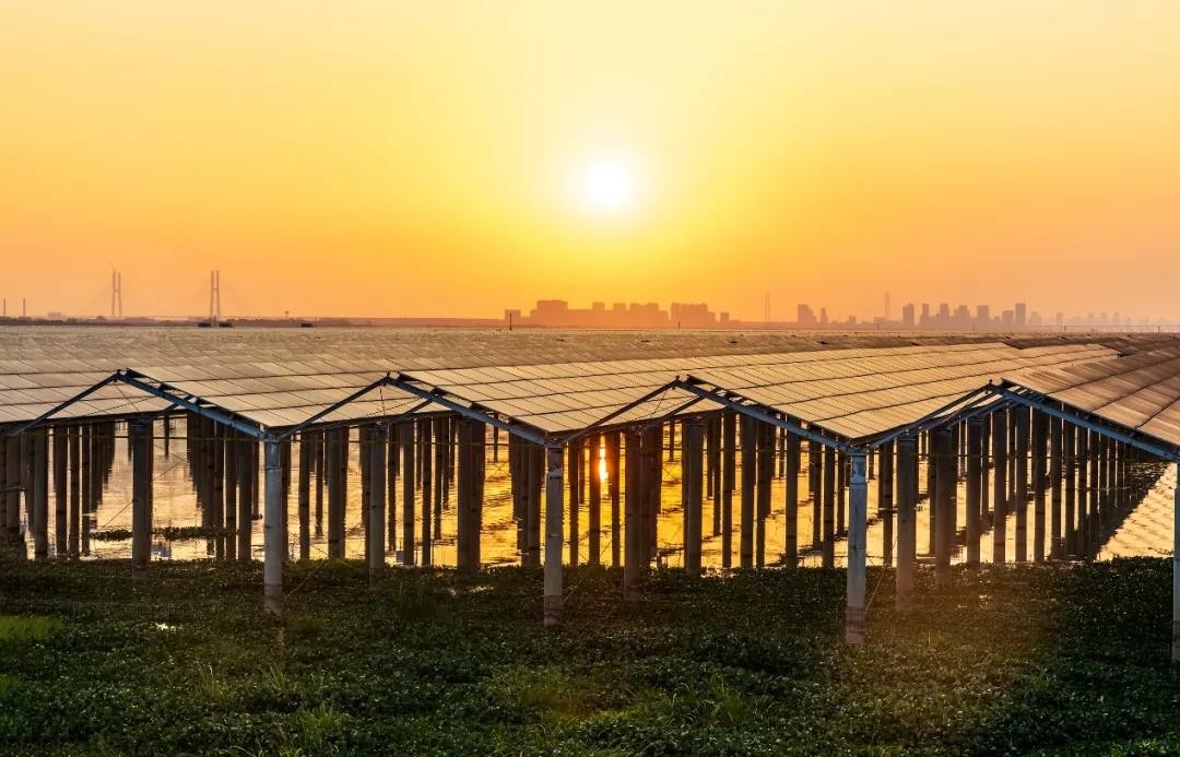 Beyond Success - www.凯发com Achieved a Preferred Scale of 1120 MW in Jiangxi